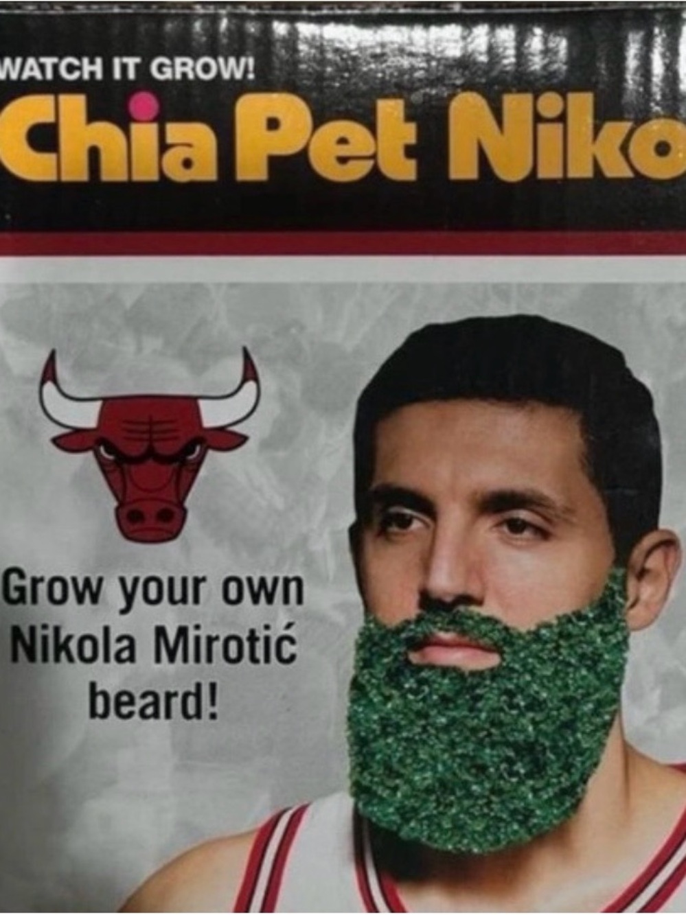 Chia Pet Niko Green Beard Vase